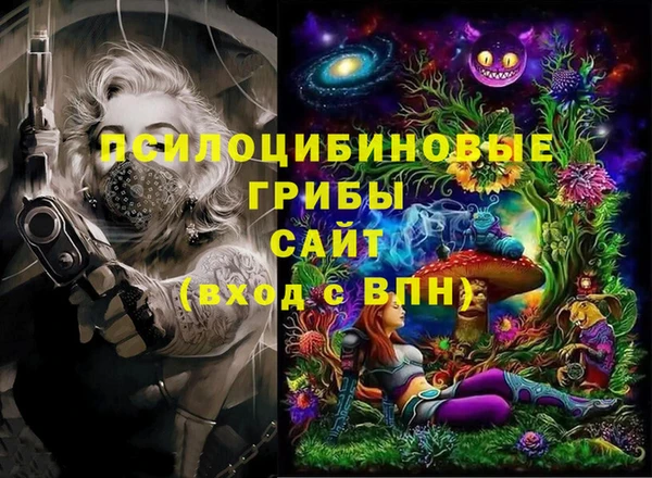 спайс Кулебаки