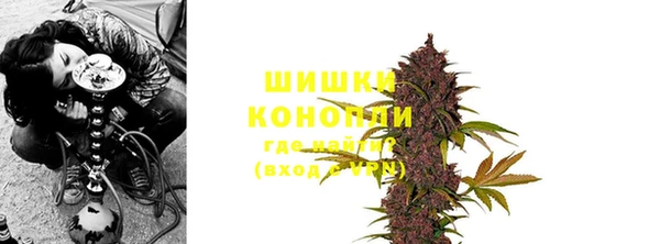 ПСИЛОЦИБИНОВЫЕ ГРИБЫ Кукмор