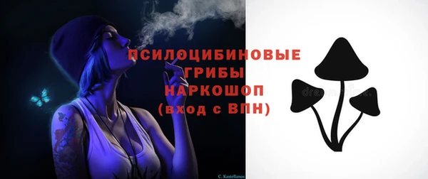 ПСИЛОЦИБИНОВЫЕ ГРИБЫ Кукмор