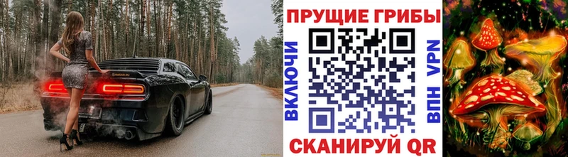 blacksprut ссылка  Балаково  Псилоцибиновые грибы MAGIC MUSHROOMS 